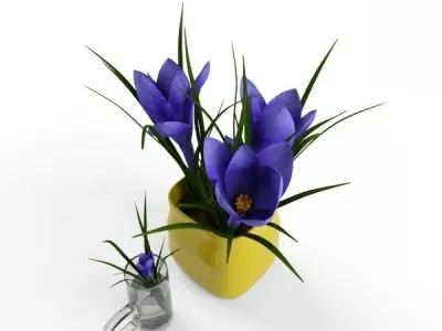 Crocus in vase 3D model