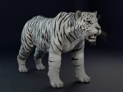 White Tiger realitic Low-poly 3D model