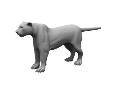 tiger3d model panther 3D model