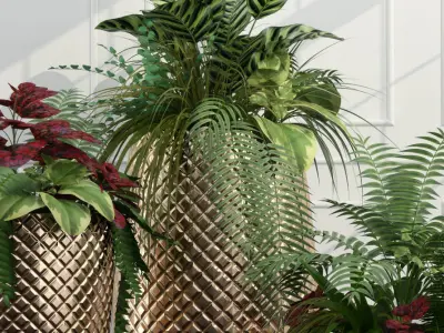 Room plants 3D model