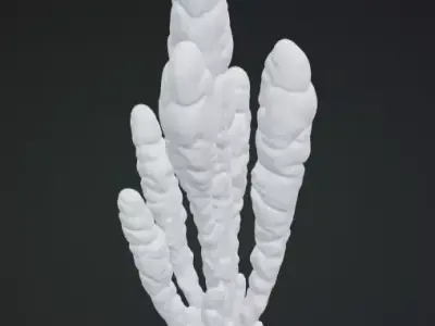 Seaweed 3D Model Realistic Marine Plant Free 3D print model