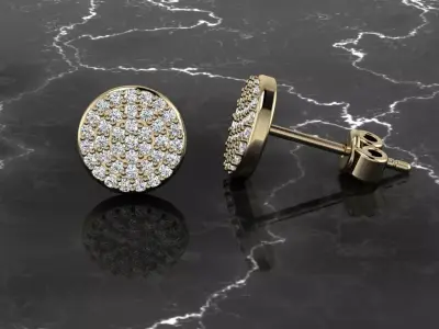 Earring Jewelry 3D print model order