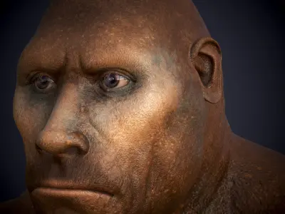 Ape Gorila king kong Low-poly 3D model