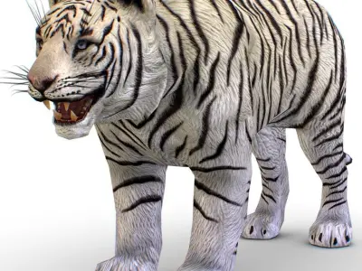 LowPoly Model A Realistic White Tiger Low-poly 3D model