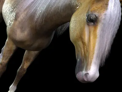 ARABIAN HORSE PUREBLOOD WILD WORLD PONY Low-poly 3D model