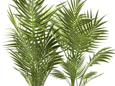 plants 124 3D model