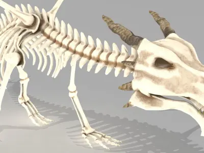 Dragon skeleton Low-poly 3D model
