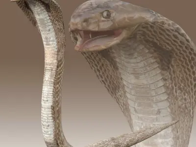 King Cobra Low-poly 3D model