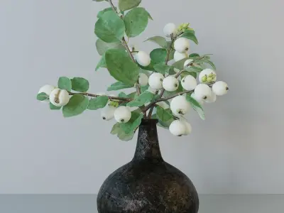 Snowberry branch in vase 3D model