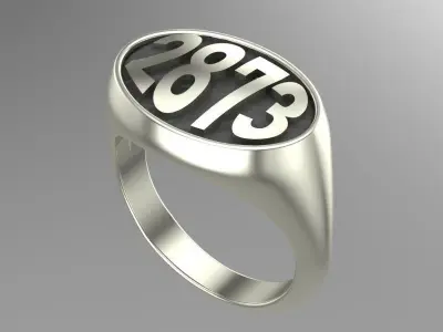 Number Ring 3D 3D print model