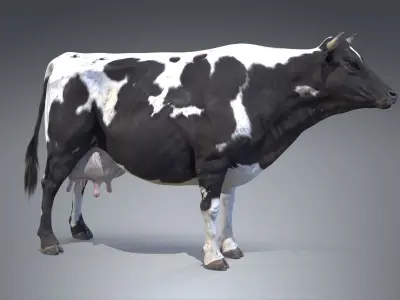 Dairy Cow PBR Low-poly 3D model
