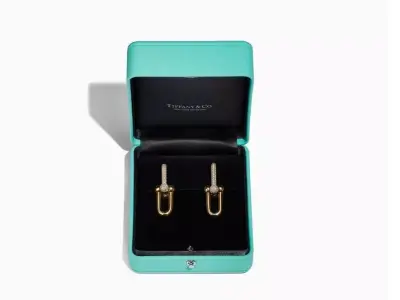 Tiffany Earring  Hardwear 3D print model