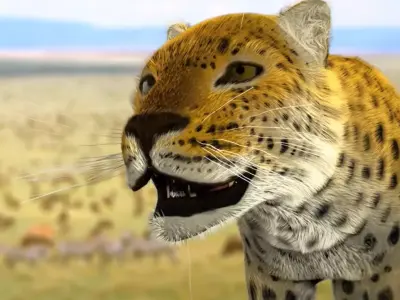 Leopard in wild 3D model