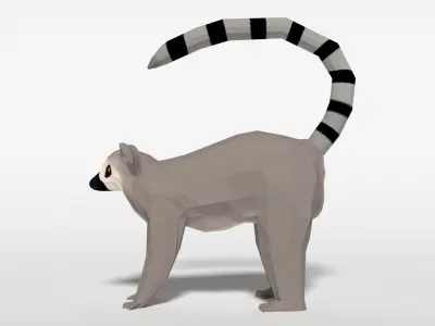 Low Poly Cartoon Ring Tailed Lemur Low-poly 3D model