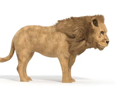 lion lowpoly Low-poly 3D model