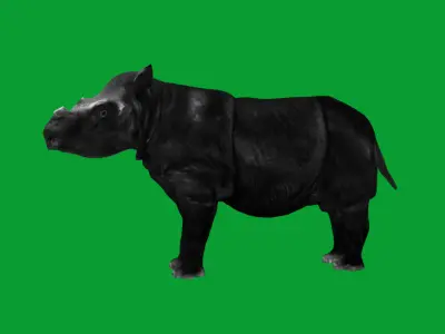 Sumatran Rhinoceros Low-poly 3D model