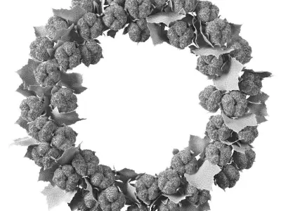Cotton wreath 3D model