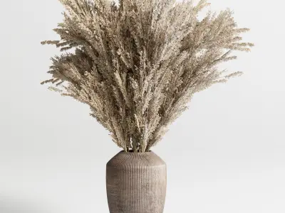 Plant and Dry  Bouquet Collection  Dried autumn plants