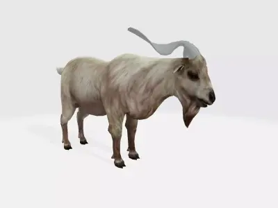 Goat 3d with long horns 3D model