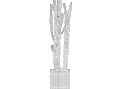 Euphorbia candelabrum in modern flower pot 3D model