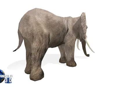 Elephant Rigged Animated Lowpoly 3d model Low-poly 3D model