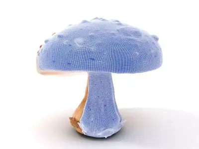 Glowing Mushroom model pack Low-poly 3D model