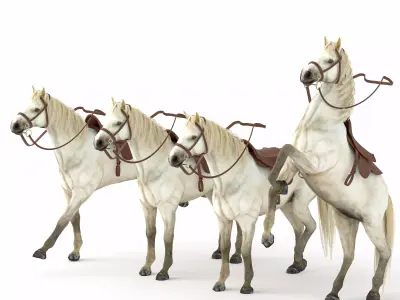Realistic Horse 3D Model - With Bridle  Low-poly 3D model
