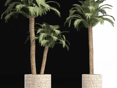 Plants Collection 159 Egyptian Plants 3D model