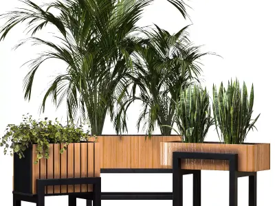 Plant Set 13 3D model