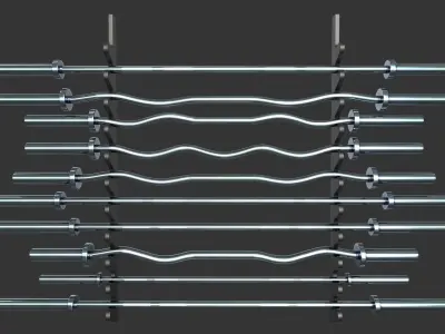 Wall Mounted Barbell 3D model