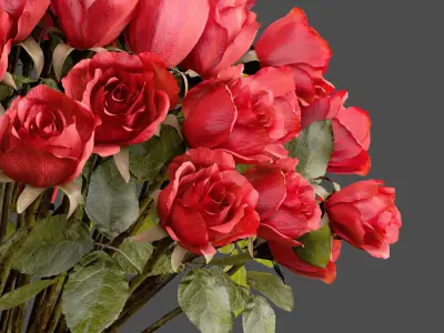 Bouquet of red roses 3D model