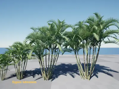 HQ Plants Volume 2 Palms for unreal engine 3D model set of 24 3D model