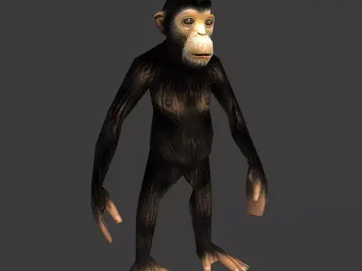 Chimpance chimpanzee Low-poly 3D model
