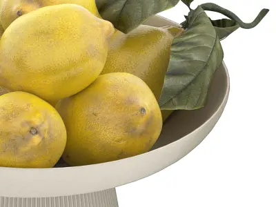 white bowl of lemons 3D model