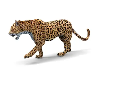 Rigged And Animated Leopard Low-poly 3D model