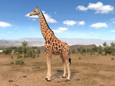 Giraffe rigged for 3dsmax 3D model