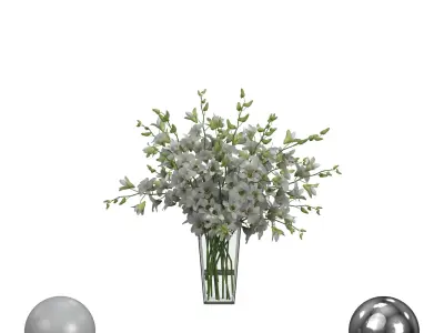 Orchid Flower White Dentrobium Glass Vase 3D model