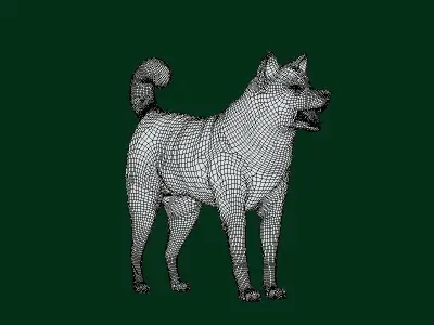 Kishu Inu Japan Dog Breed  3D model