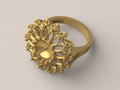 Ring R 11 3D print model