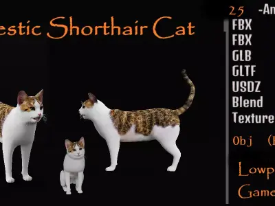 Domestic Shorthair Cat Low-poly 3D model