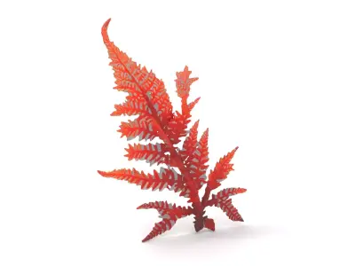 Red Fern model pack Low-poly 3D model