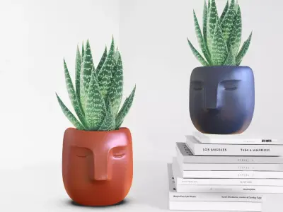 Face Planter - 3D Head Plant Pot - Minimalist Cute Flower Pot 3D print model