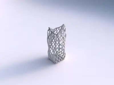 Vase twisted double arc quadratic with bubble grid lattice 3D print model