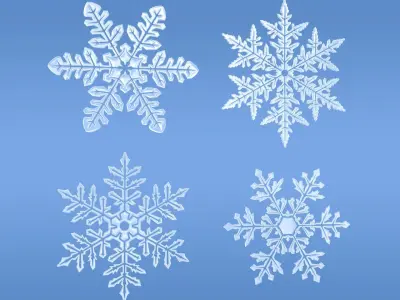 Snowflakes set v1 3D model