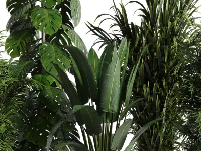 indoor plant set 345 ravenala bamboo monstera palm concrete vase Low-poly 3D model