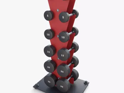 Vertical dumbbell rack 3D model