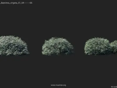 Maxtree Plant Models Vol 44 Low - Mesh 3D model