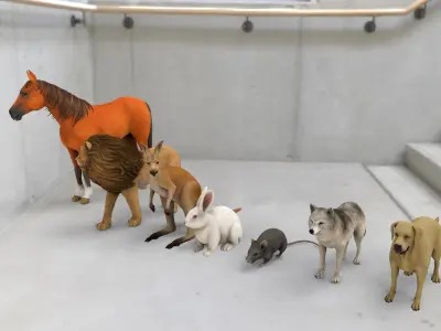 Animal Group lion horse rat rabbit kangaroo wolf and dog  3D model