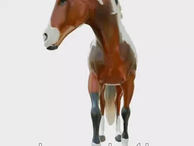 Pinto Arabian Horse 3D Model with Bold Patches Low-poly 3D model