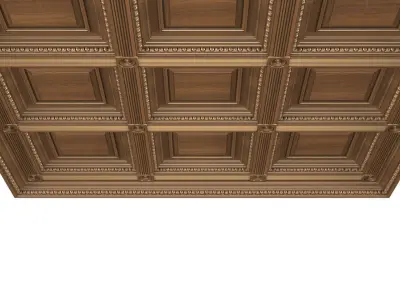 Classical coffered ceiling Set 3D model